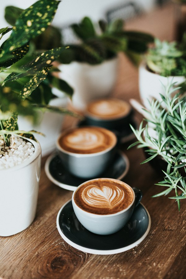 Kopi Torabika Creamy Latte (Hangat / Dingin)